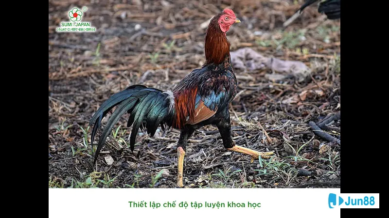 Lối đá dọc nằm bên sông Lối đá dọc nằm bên sông